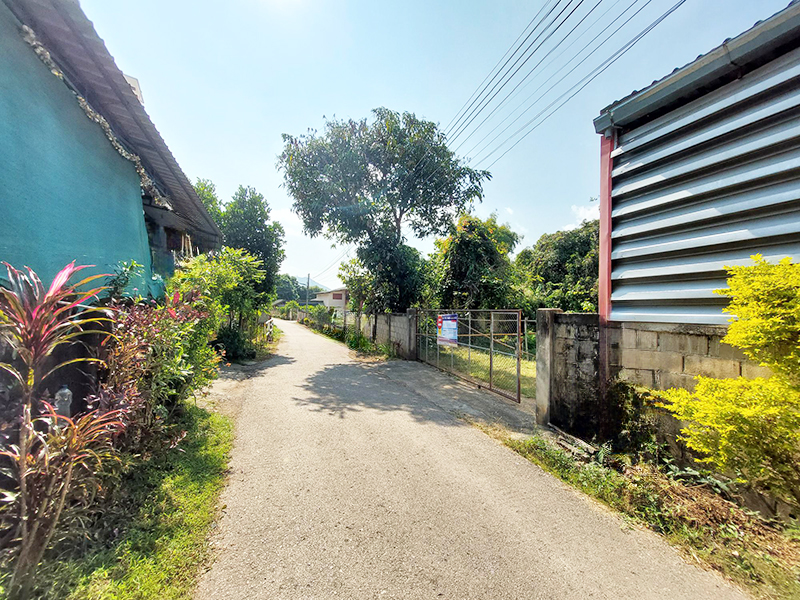 4d533d77-60843-1.jpg