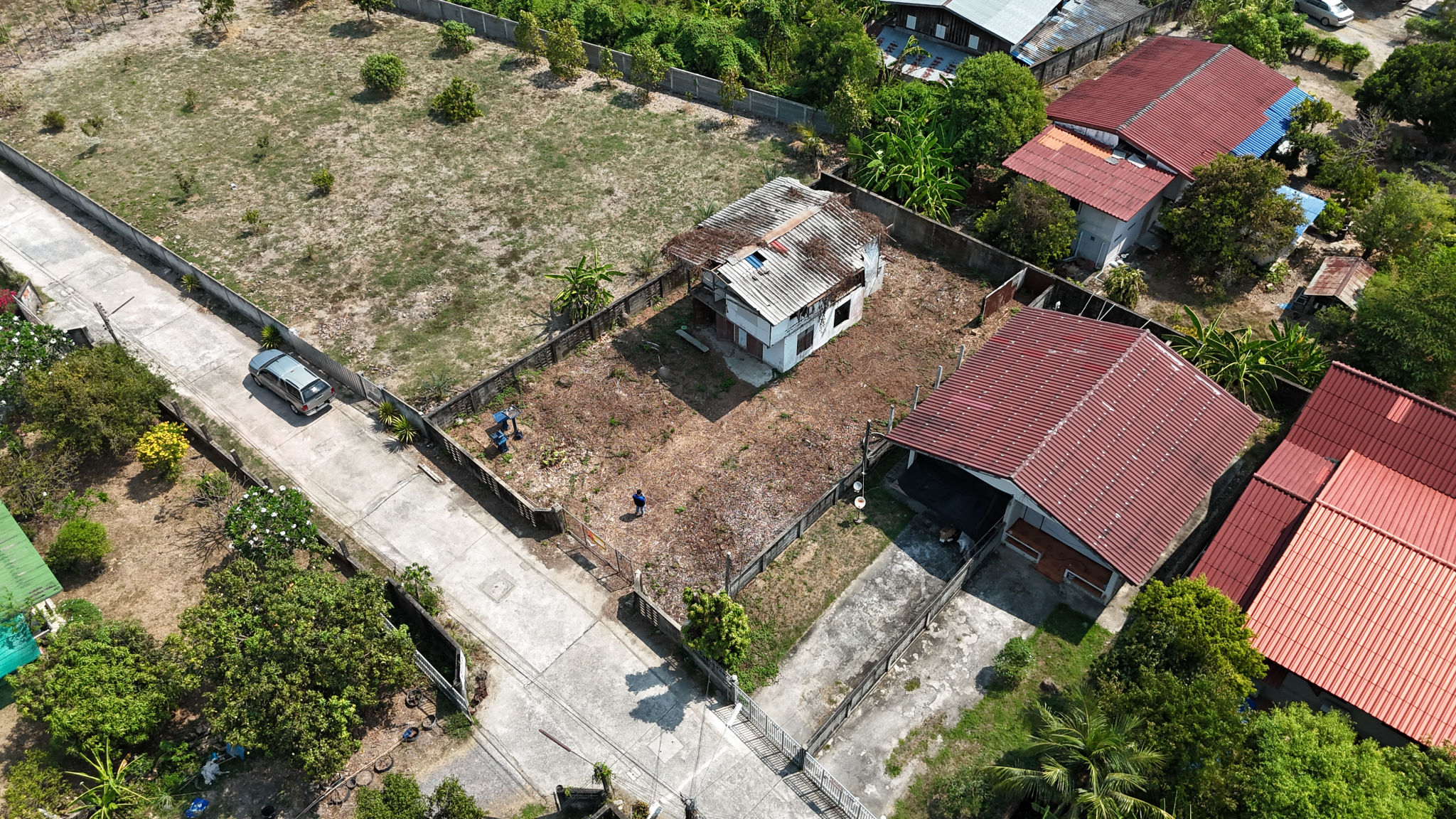 DJI_20260312104732_0218_D.JPG