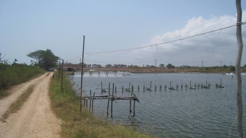 full_20110317134248.jpeg