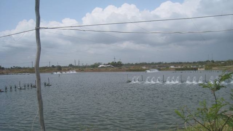 full_20110317134253.jpeg