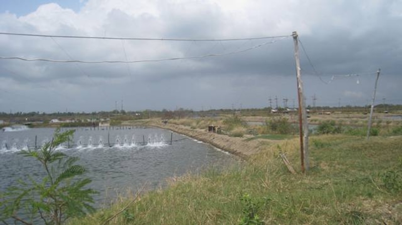 full_20110317134301.jpeg