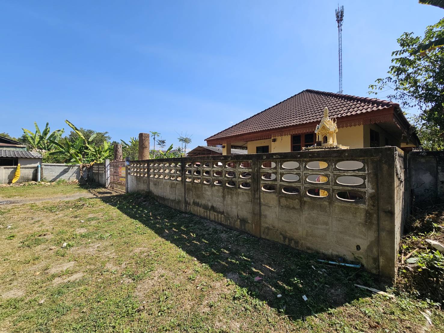 1768805263344.jpg