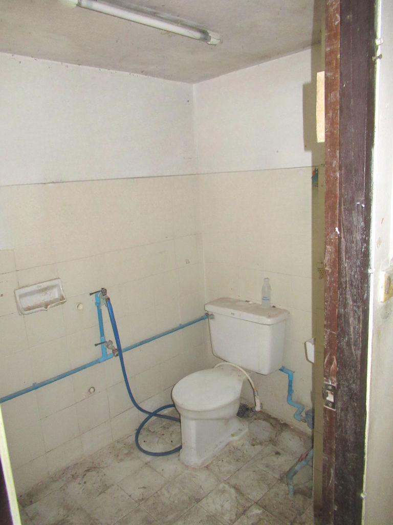 image (11).png
