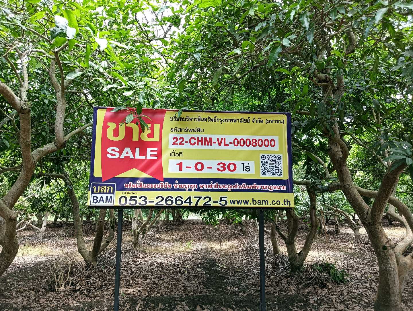 ASSET_SALE_BANNER.jpg