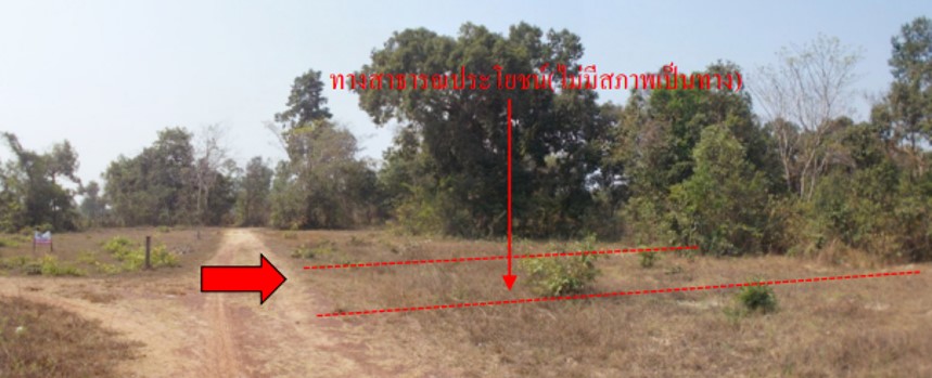 Picture24.jpg