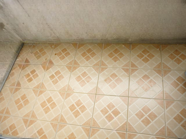 image (17).png