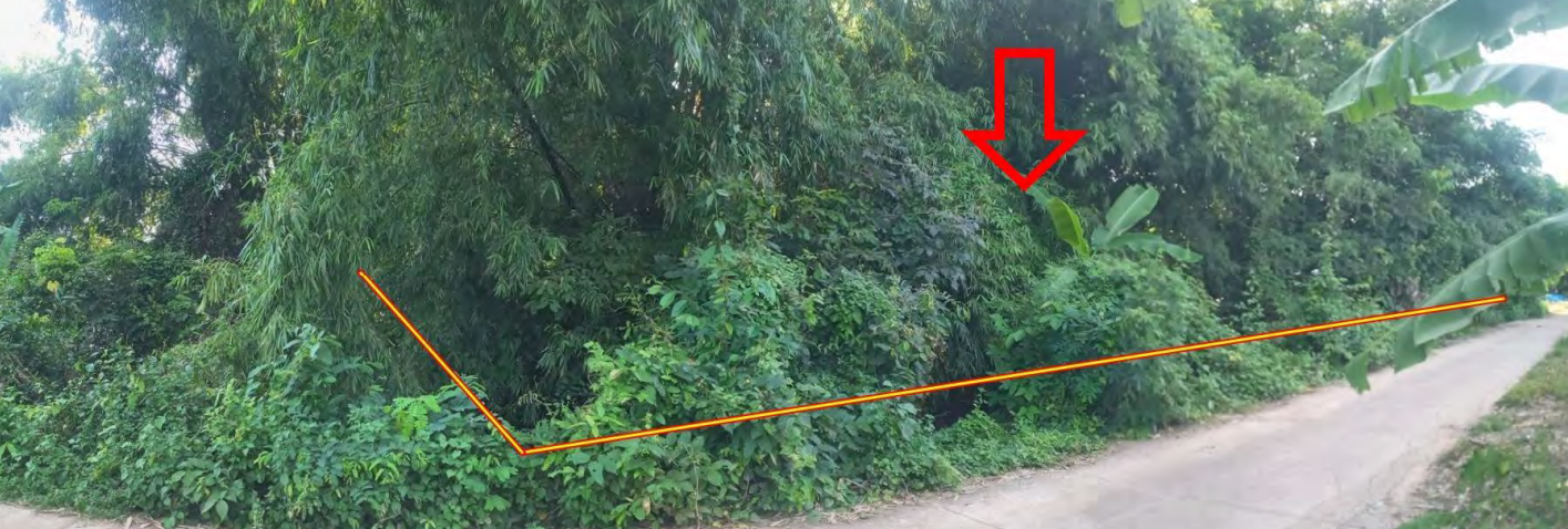 ท่าฉนวน 6.PNG