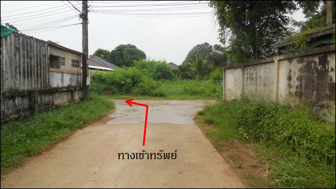 เข้า 2.jpg