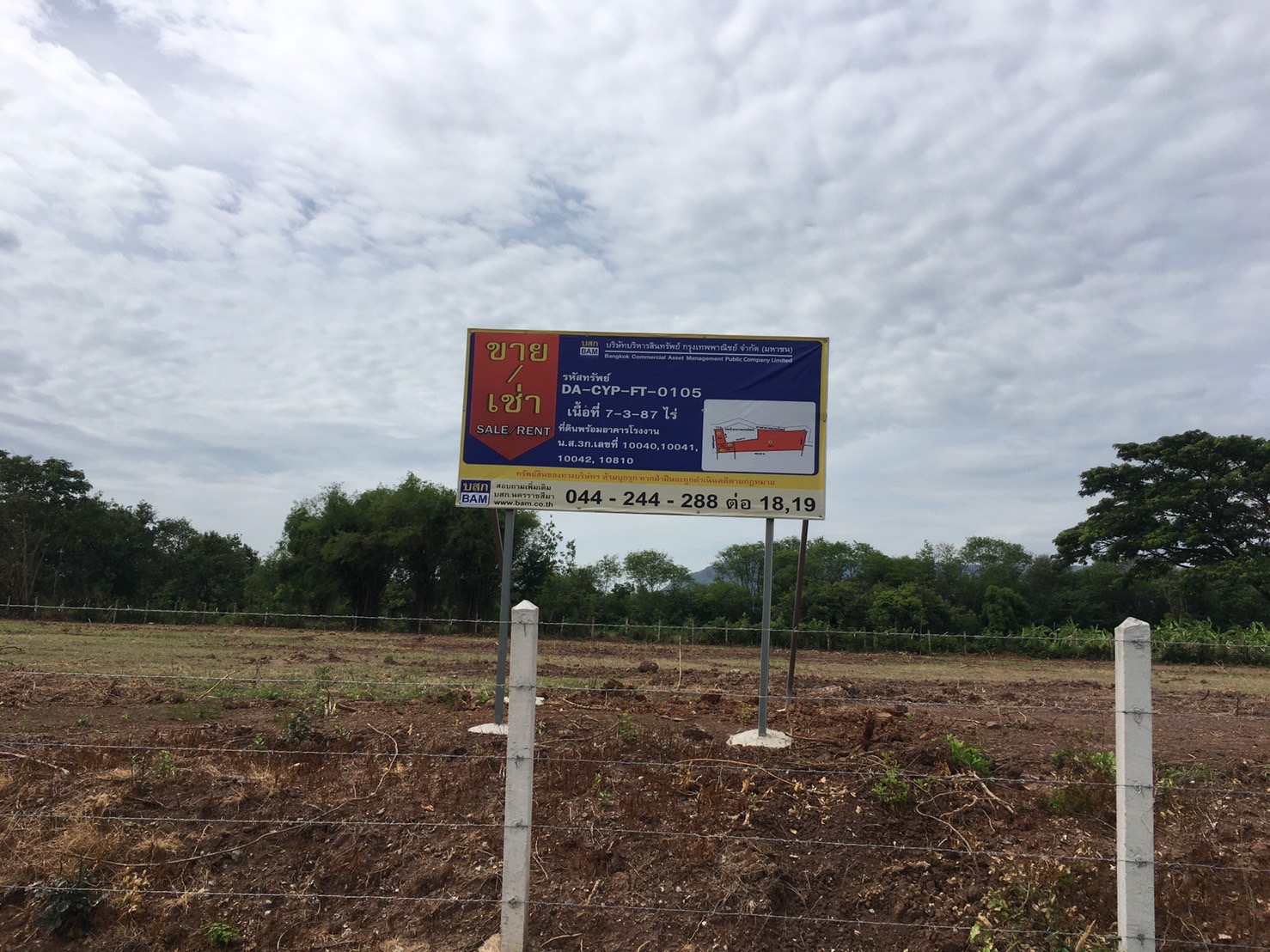 468677523677381052.jpg