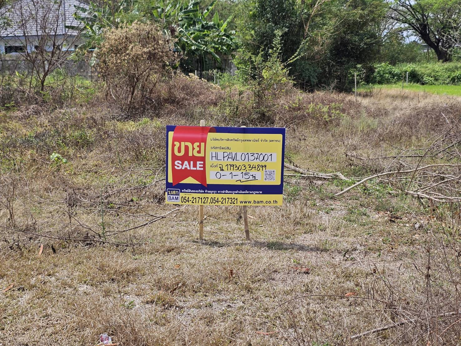 1773381541377.jpg