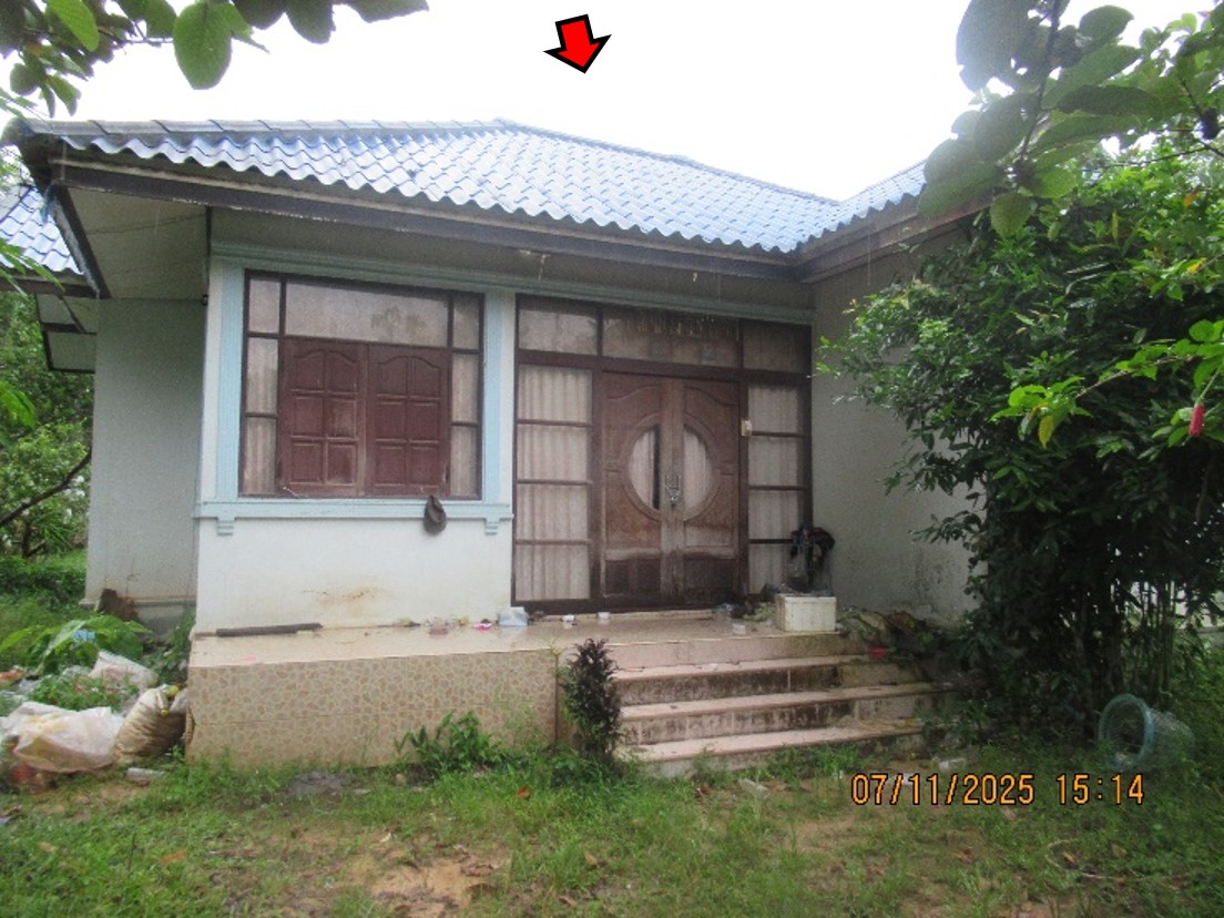รูà¸à¸ าภ3.jpg