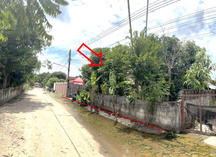 Picture8.jpg