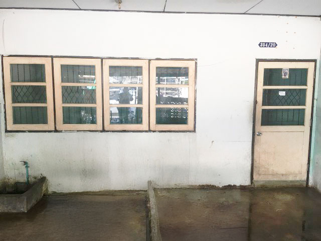 full_20190916162143.jpg