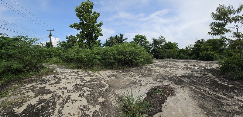 b1c44774-149988-3.jpg