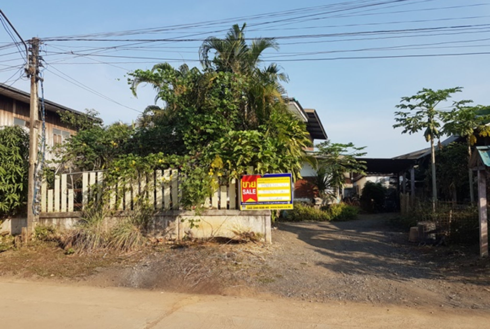 Canva Bamm (42).png