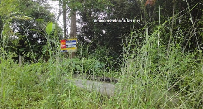ที่ดิน เนินฆ้อ  ระยอง
