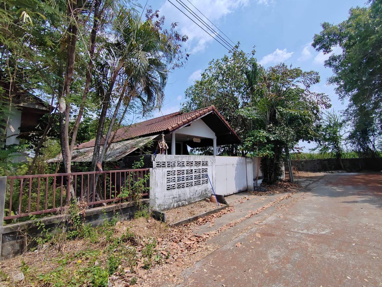 S__61030450.jpg