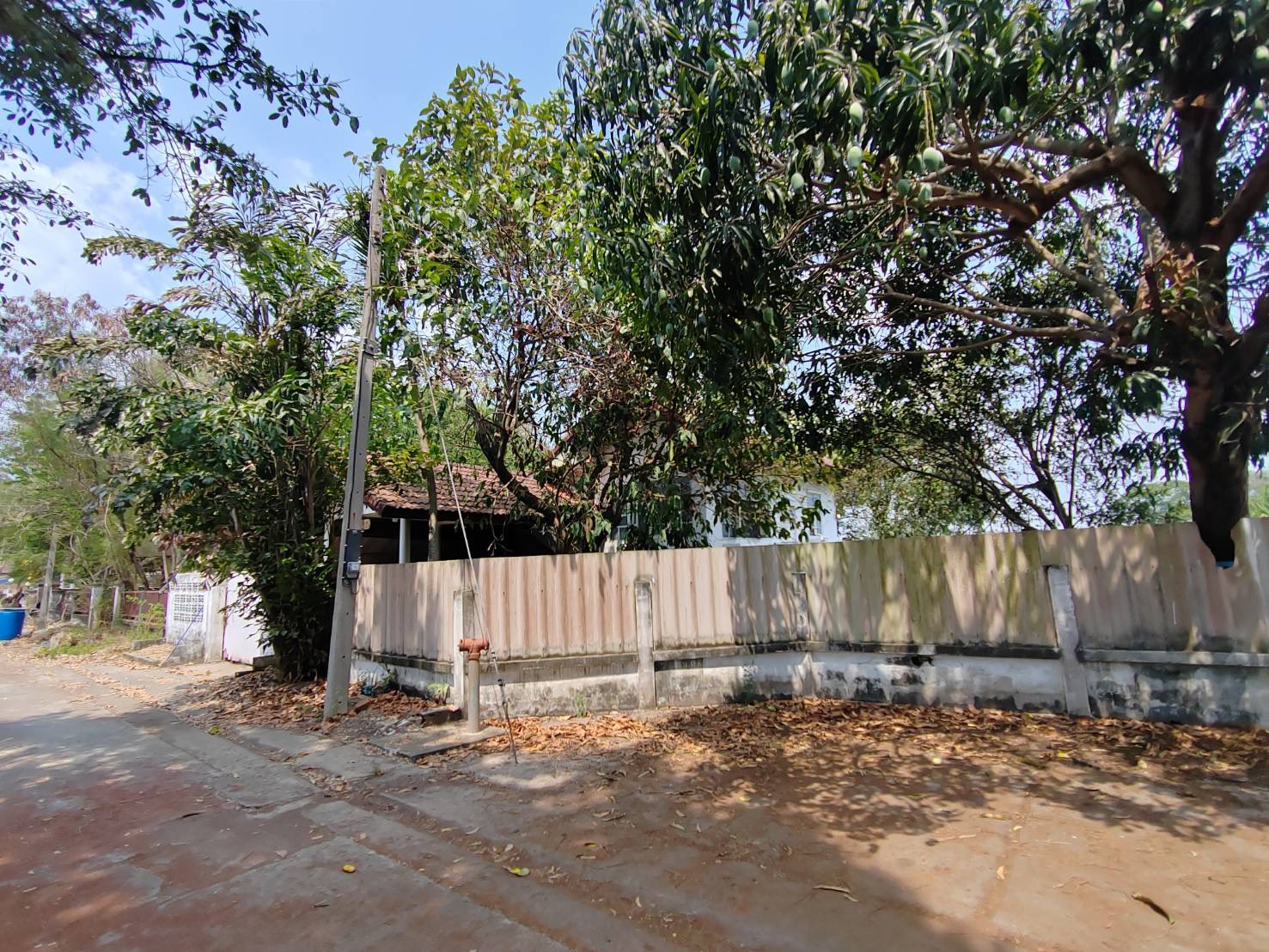 S__61030451.jpg