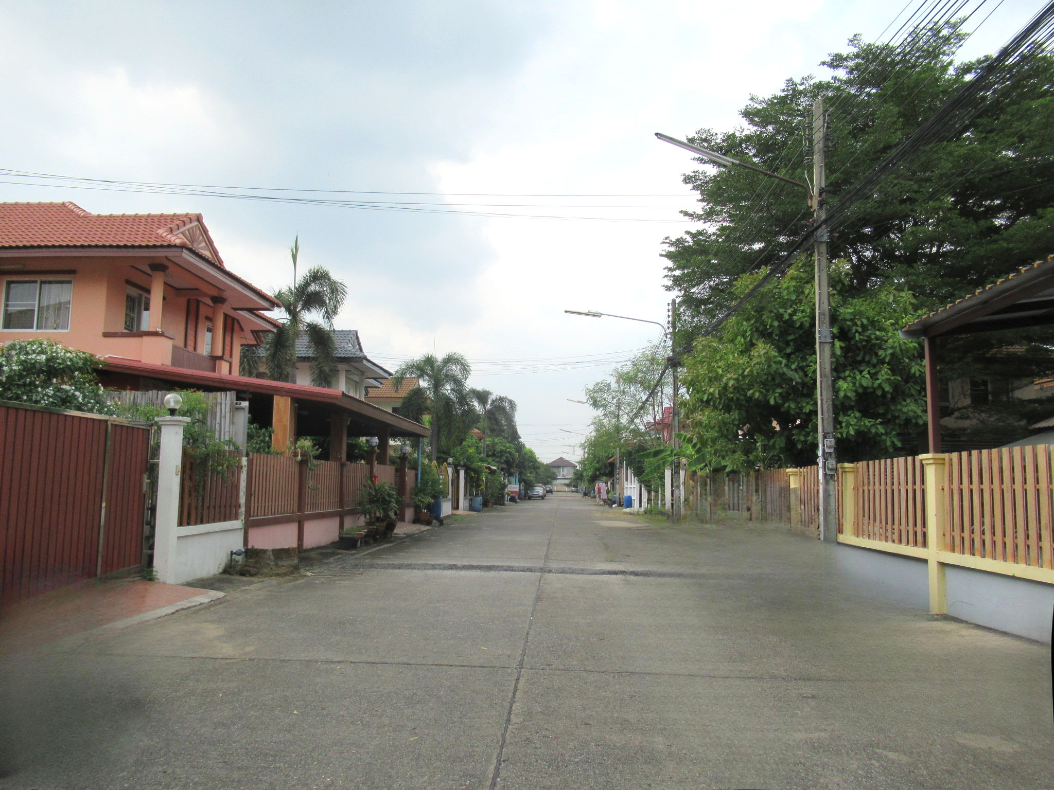 image (19).png
