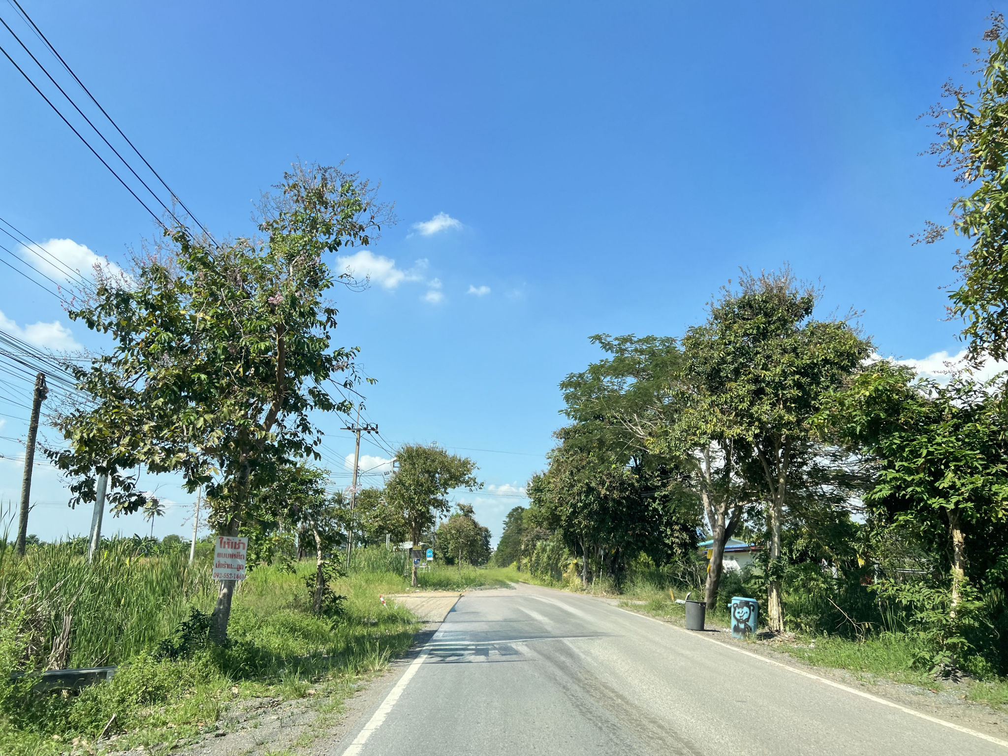 a5a9c4be-145727-4.jpg