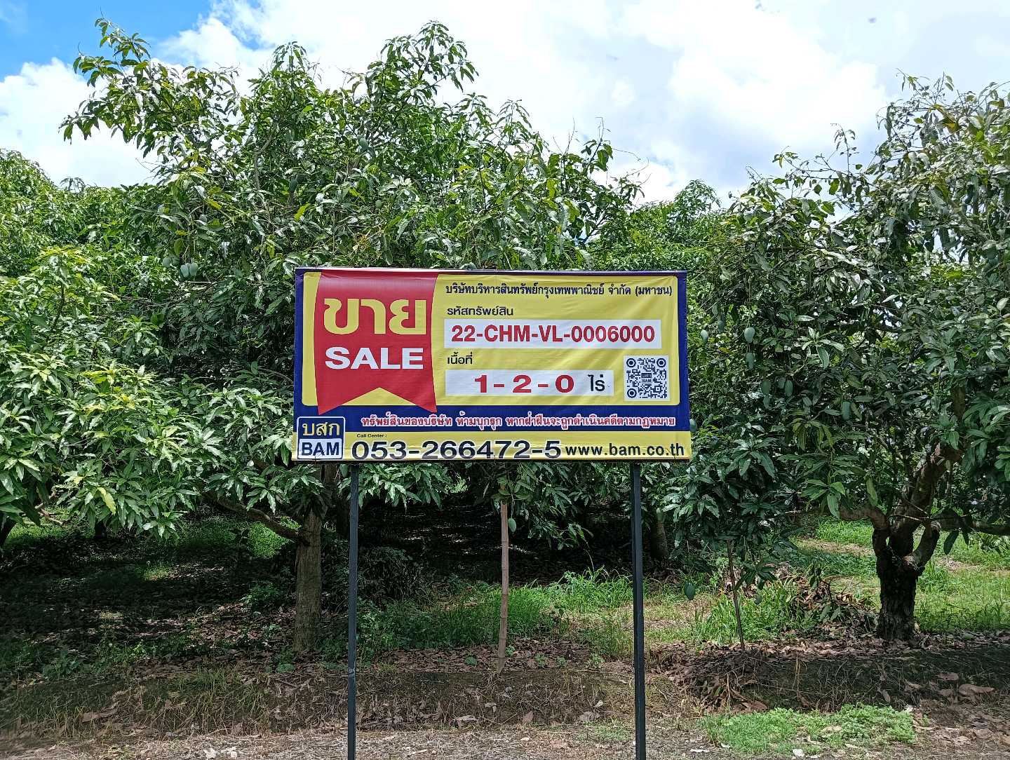 ASSET_SALE_BANNER.jpg