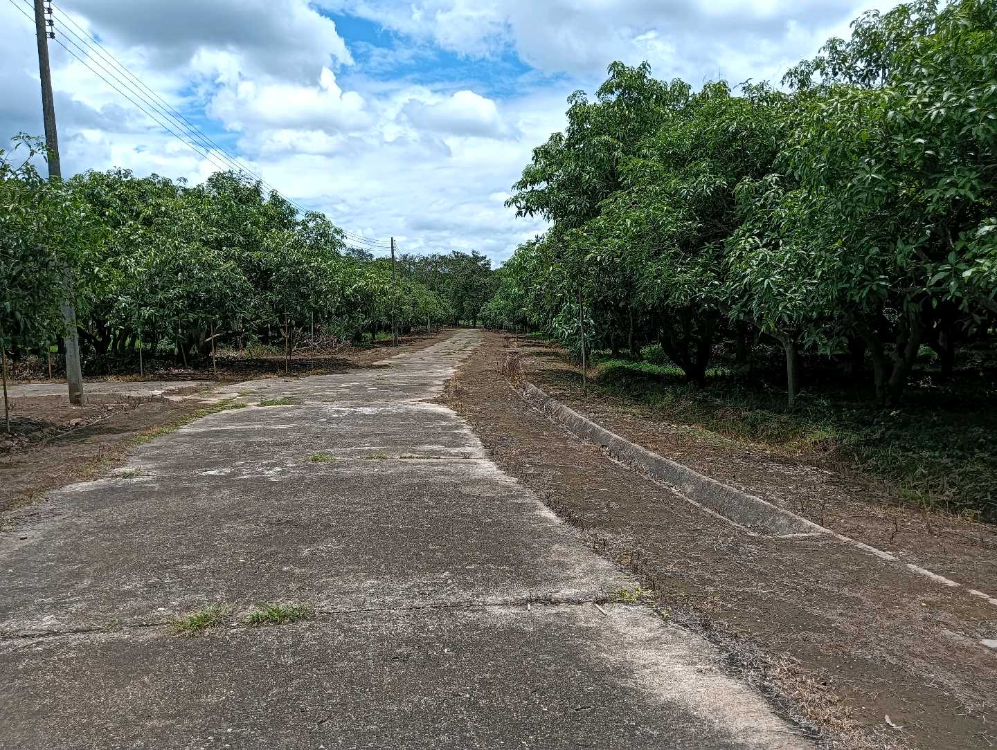 ROAD_FRONT_LEFT.jpg