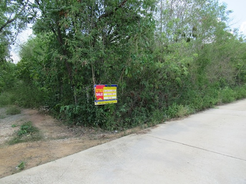 full_20200727165043.jpg