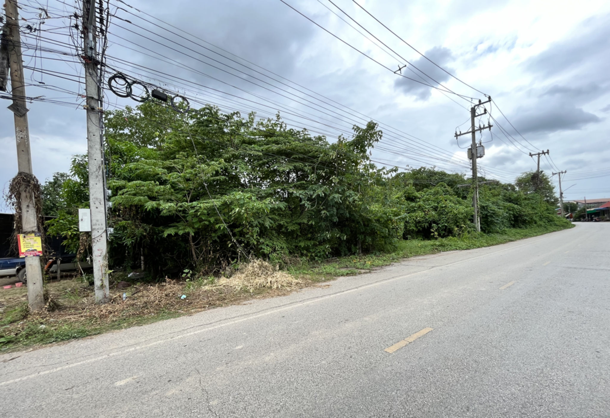 image (782).png