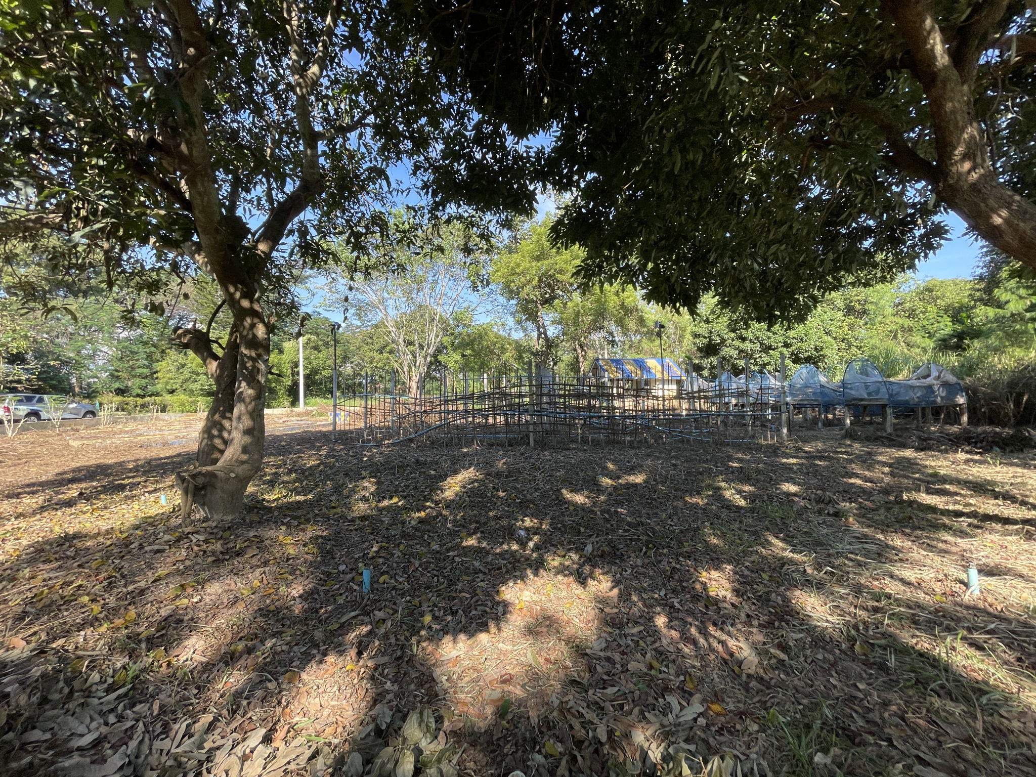 20231114_023420922_iOS.jpg