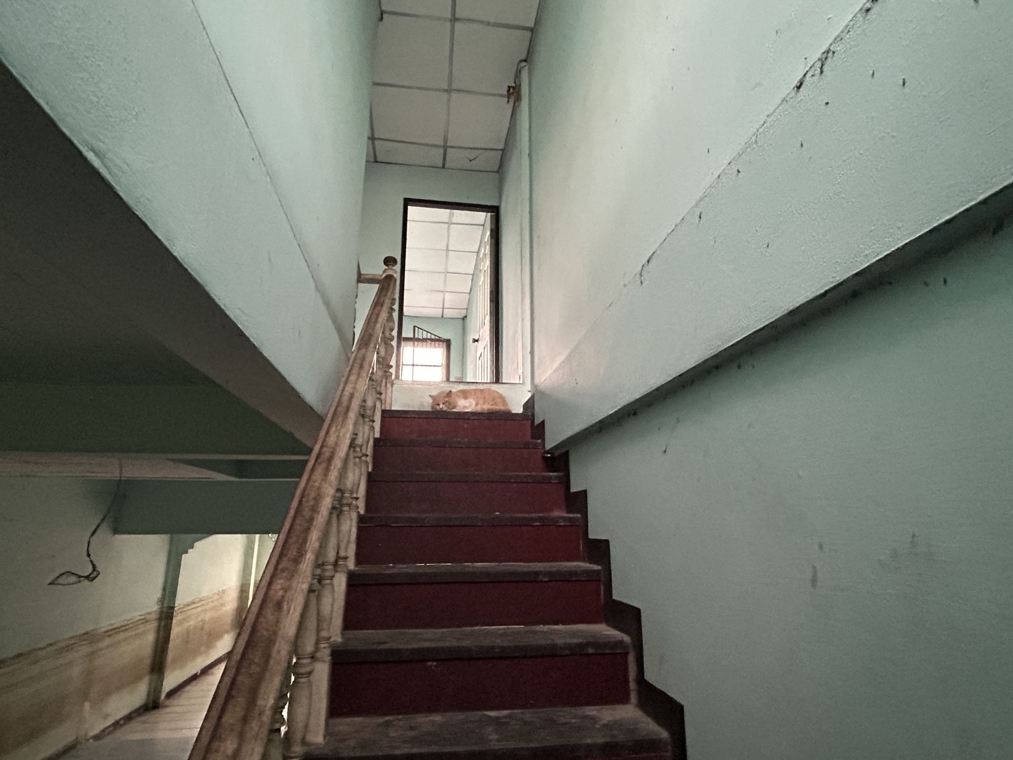 IMG_2751.jpeg