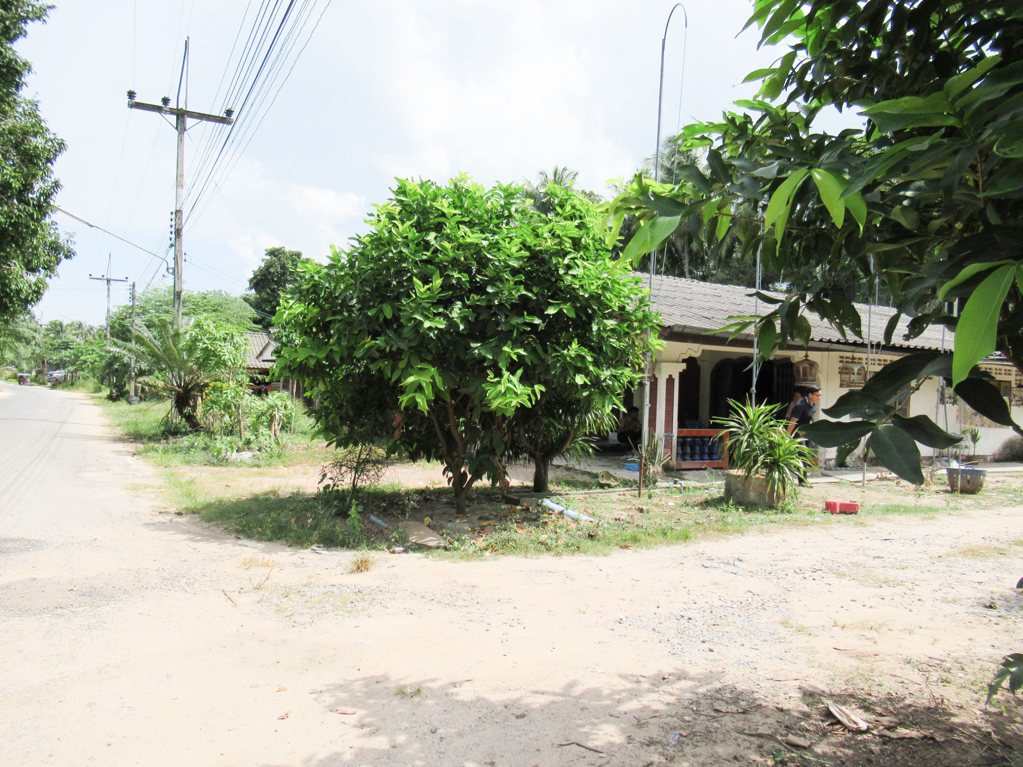 full_20200311193741.jpg