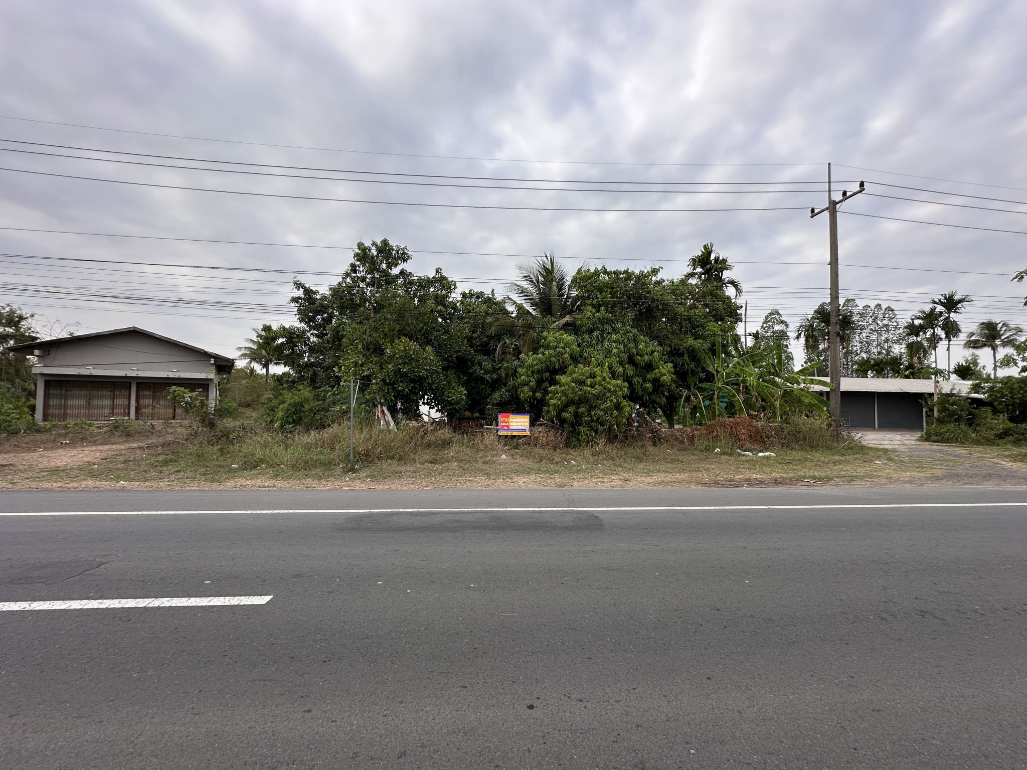 2bfdceb2-144113-0.jpg