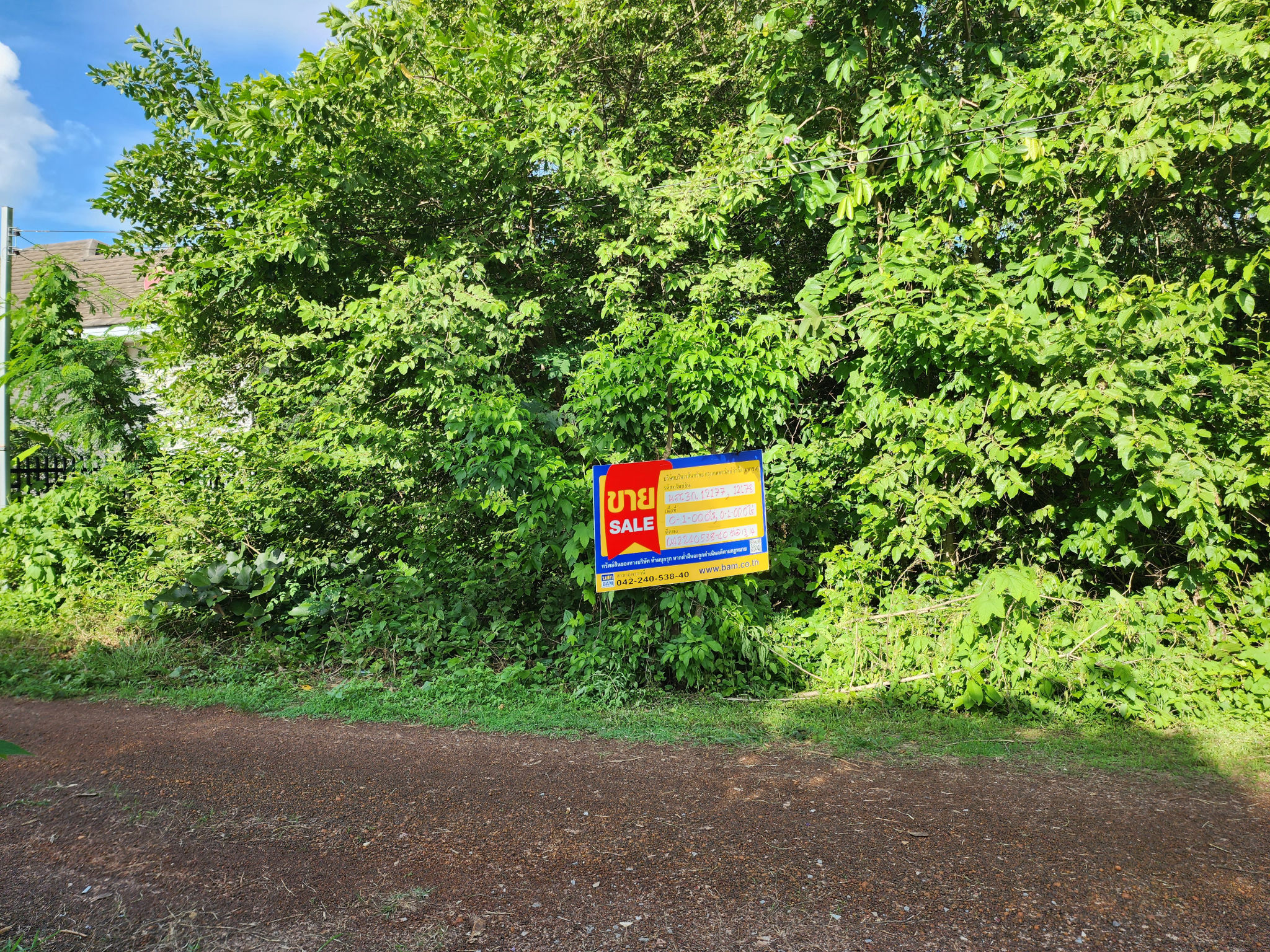 20240611_163310.jpg