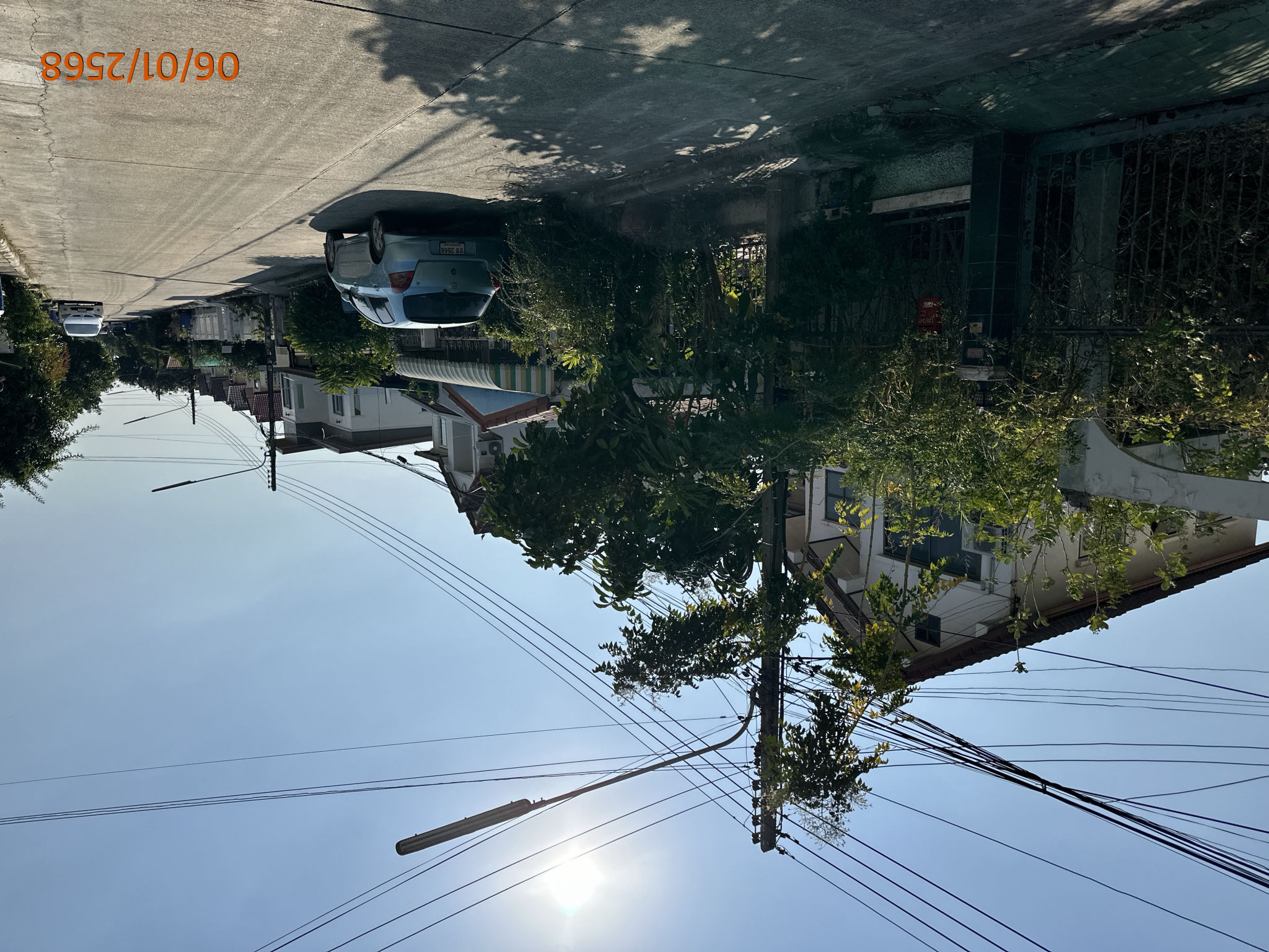 TC_00153.JPG