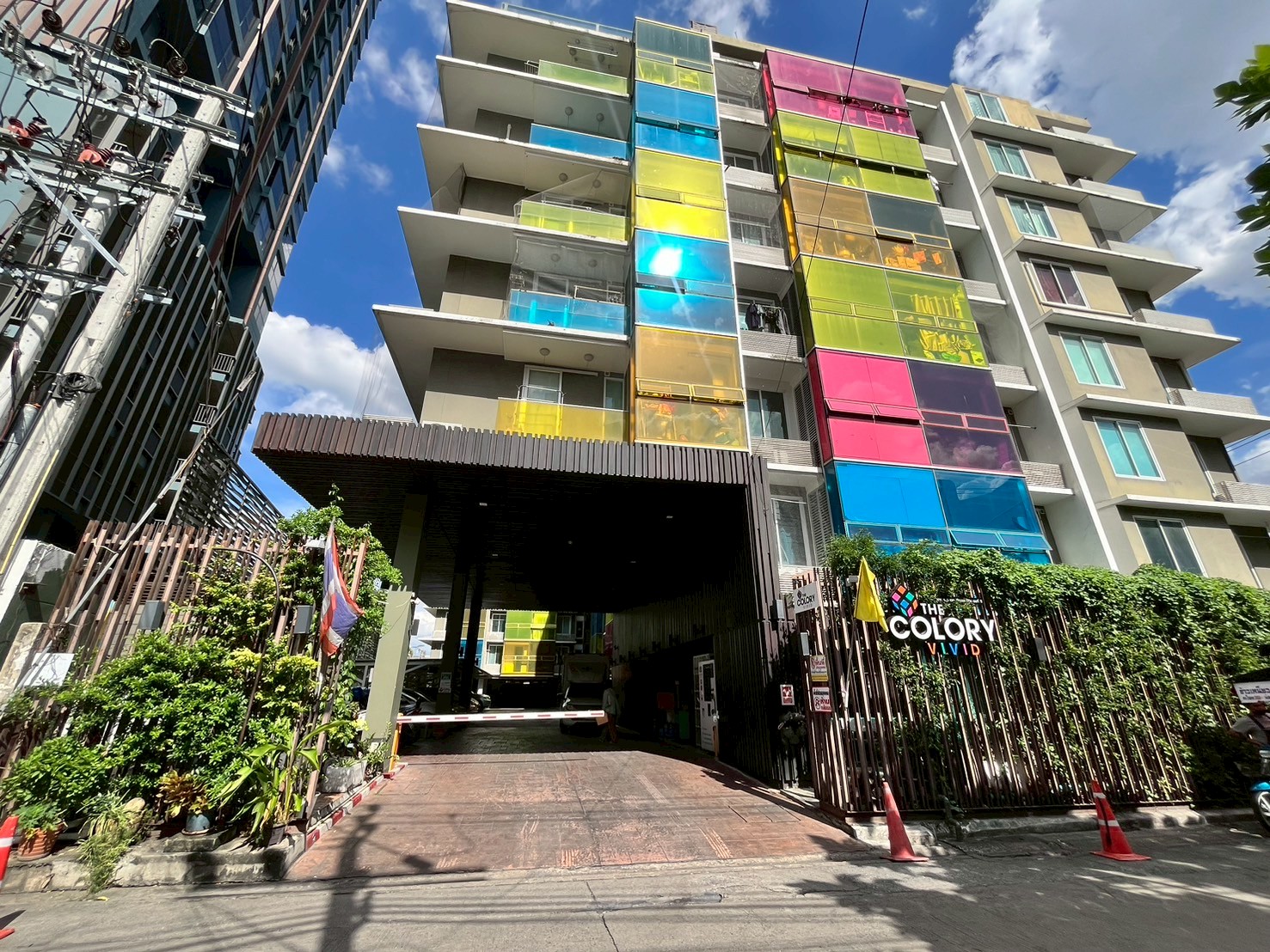 The Colory Vivid