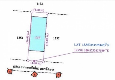 ผัง.jpg