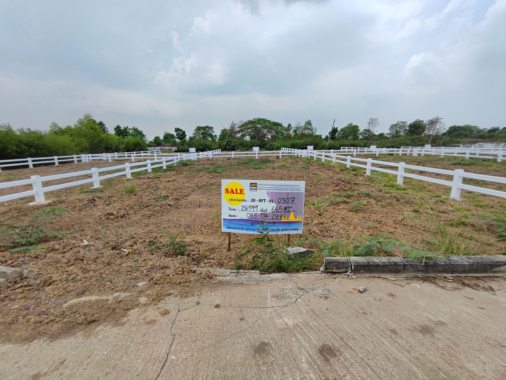 แปลงที่137-2.jpg