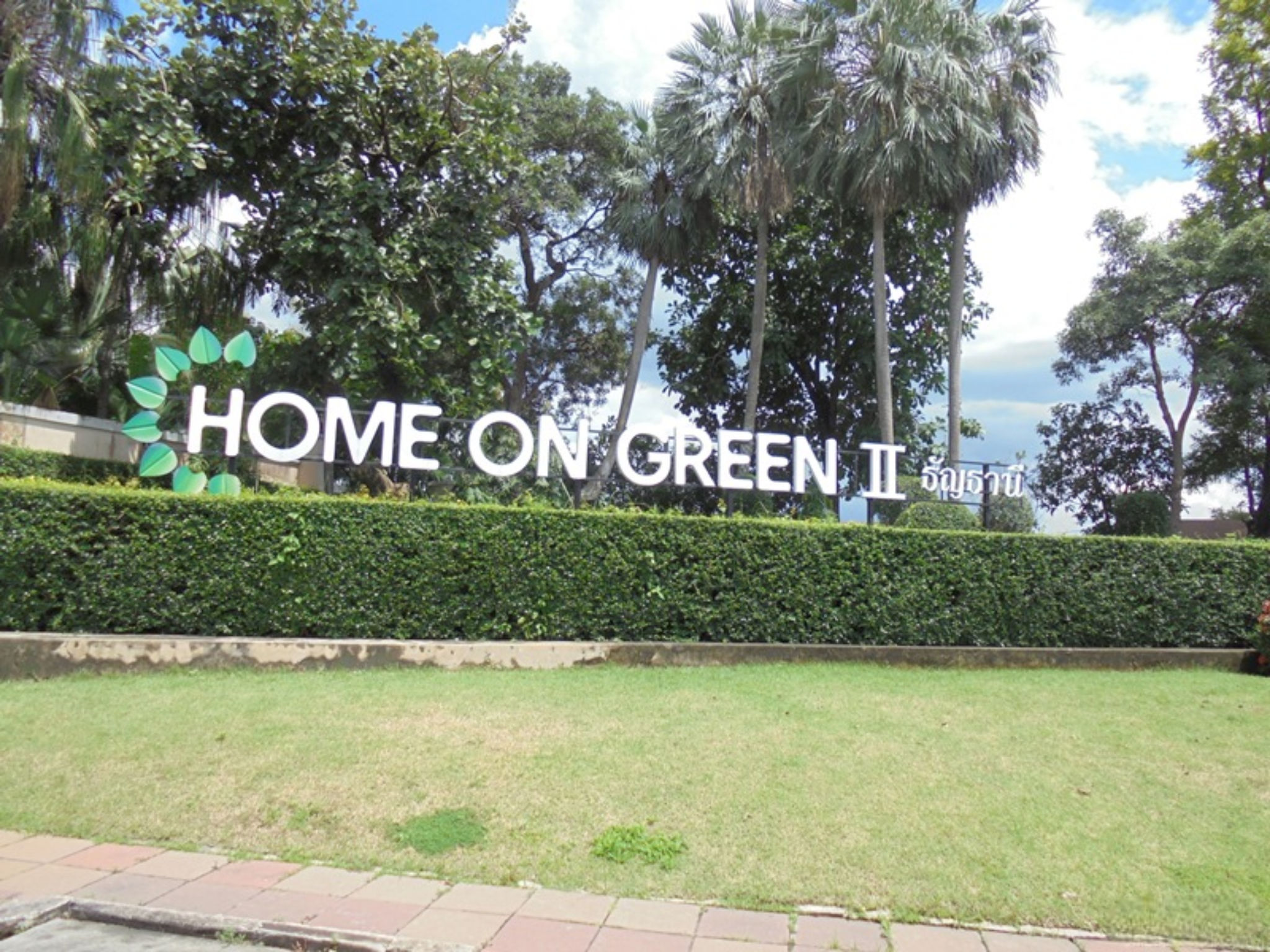 image (15).png