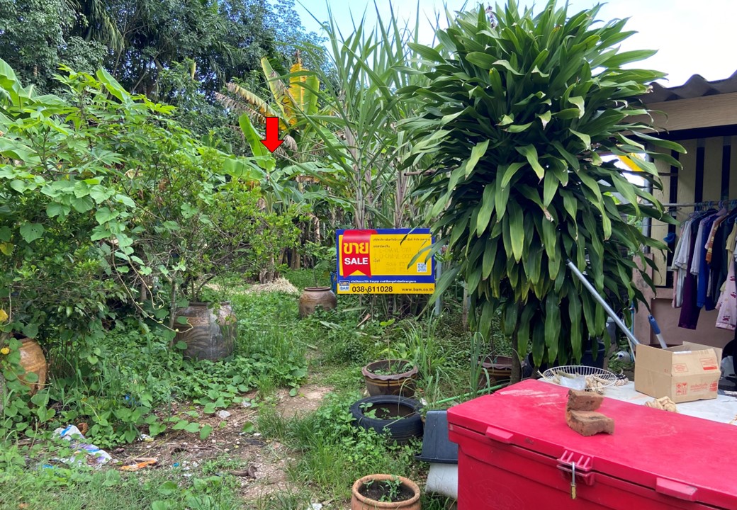 สไลด์3.JPG