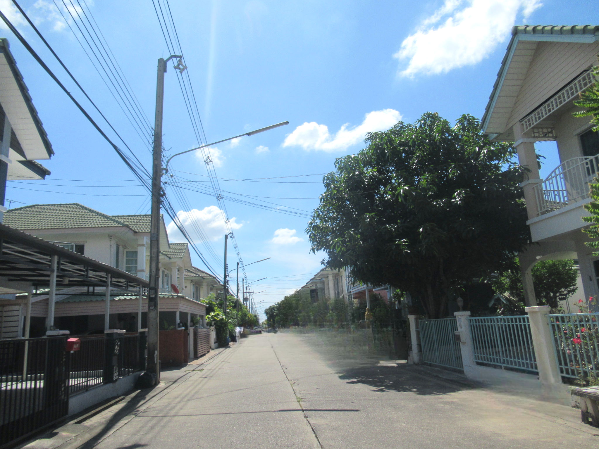 image (12).png