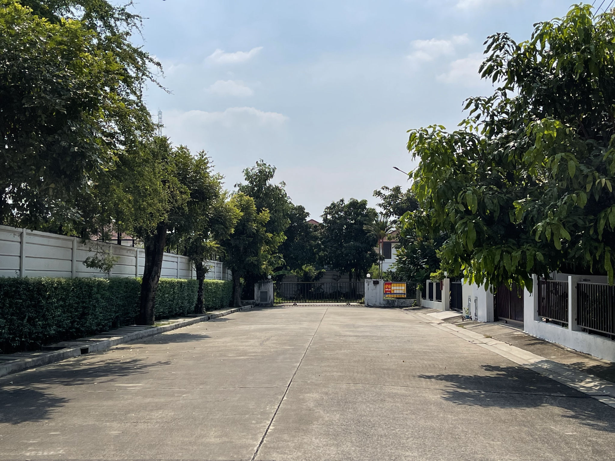 95b5515d-debkksh0273 (25).JPG