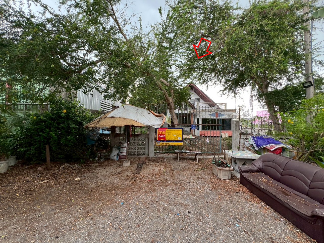 รูà¸à¸ าภ7.jpg