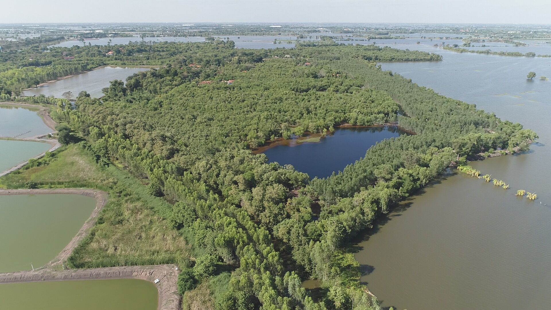 DJI_0009.JPG