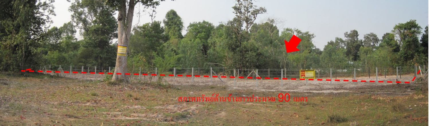 9e494b71-รูปภาพ9.jpg