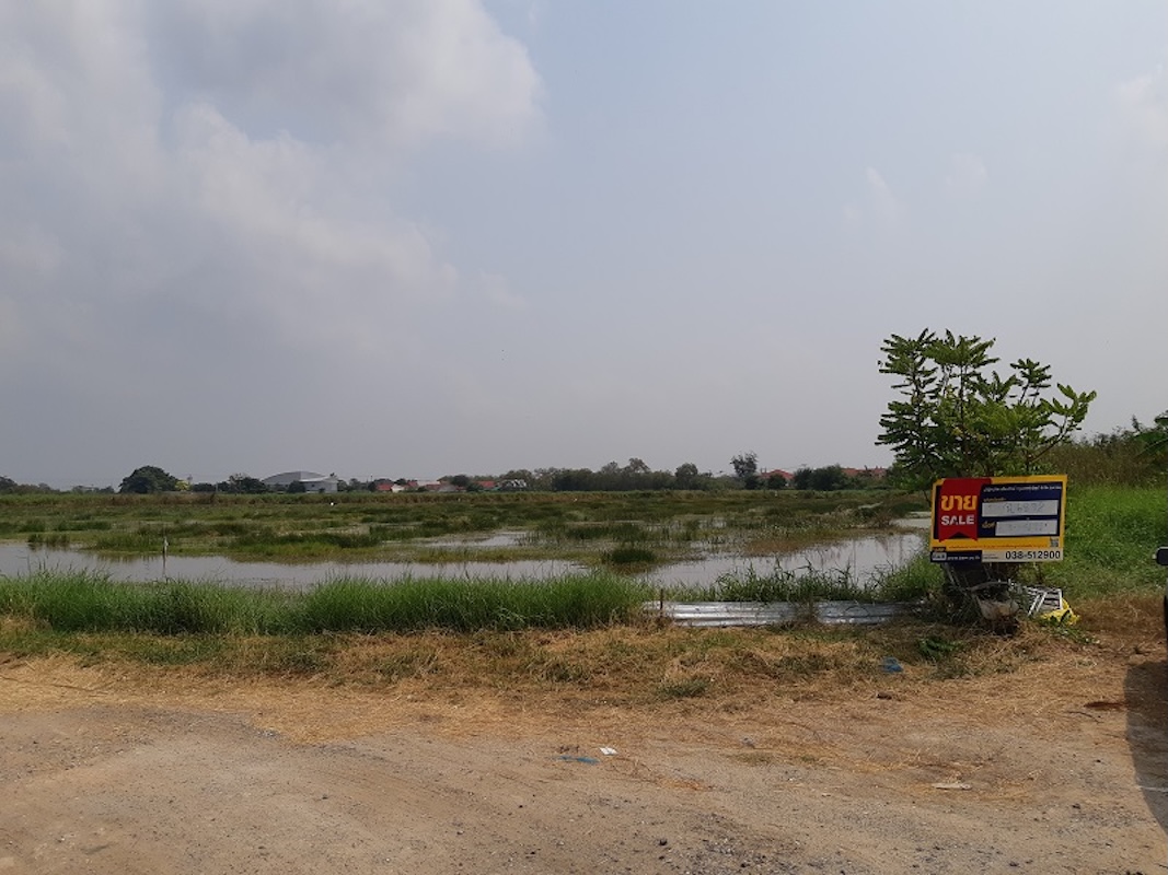 ที่ดิน บางวัว  ฉะเชิงเทรา