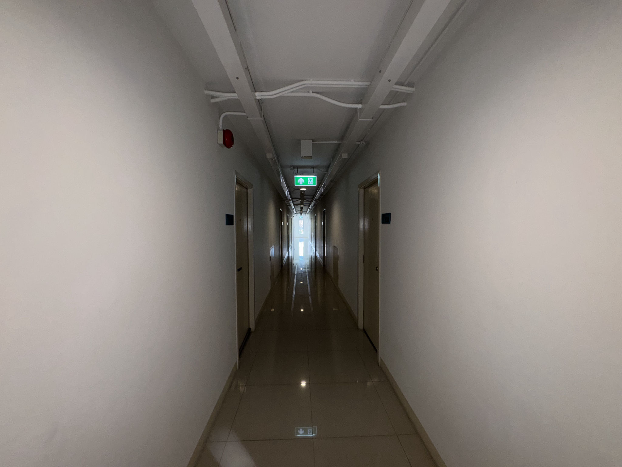IMG_8230.jpeg