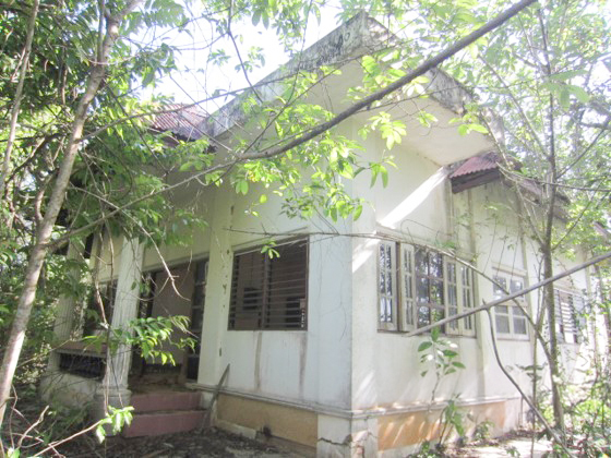 10d046db.jpg