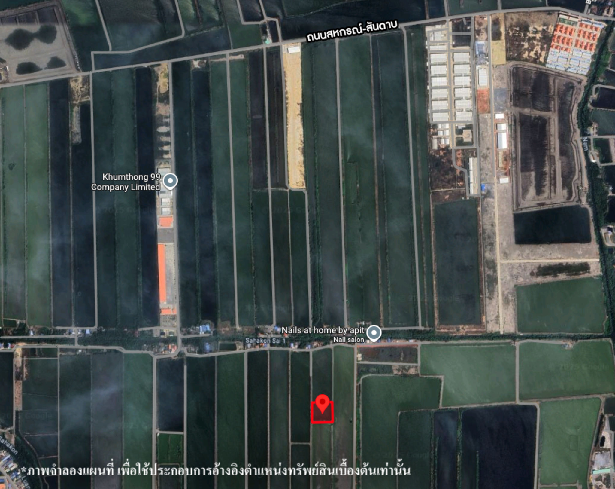 image (46).png