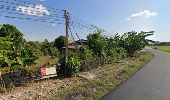 สไลด์2.JPG