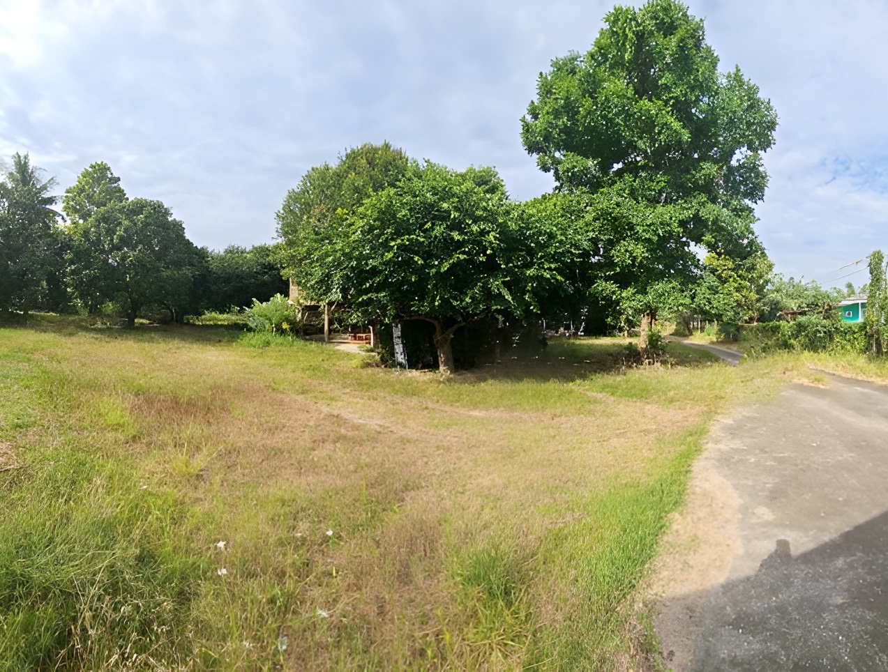 d3346549-3.JPG